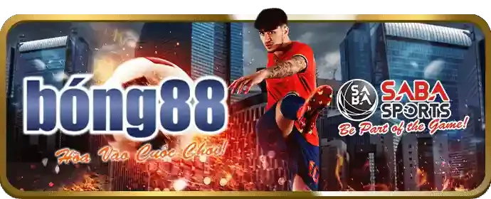 Tổng quan cá cược thể thao like88